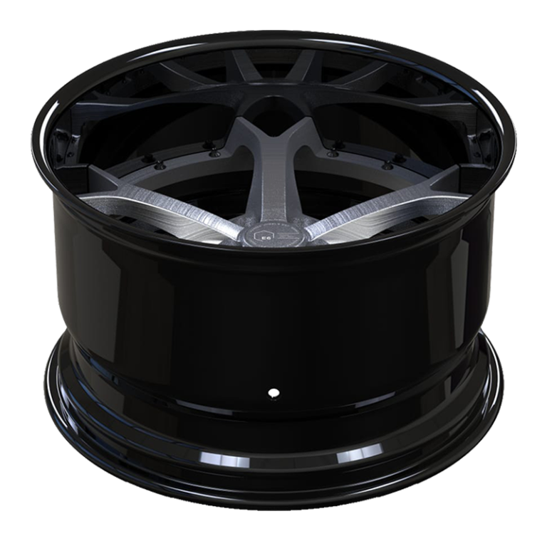 E6 Forged - NS5 Multipiece Wheels